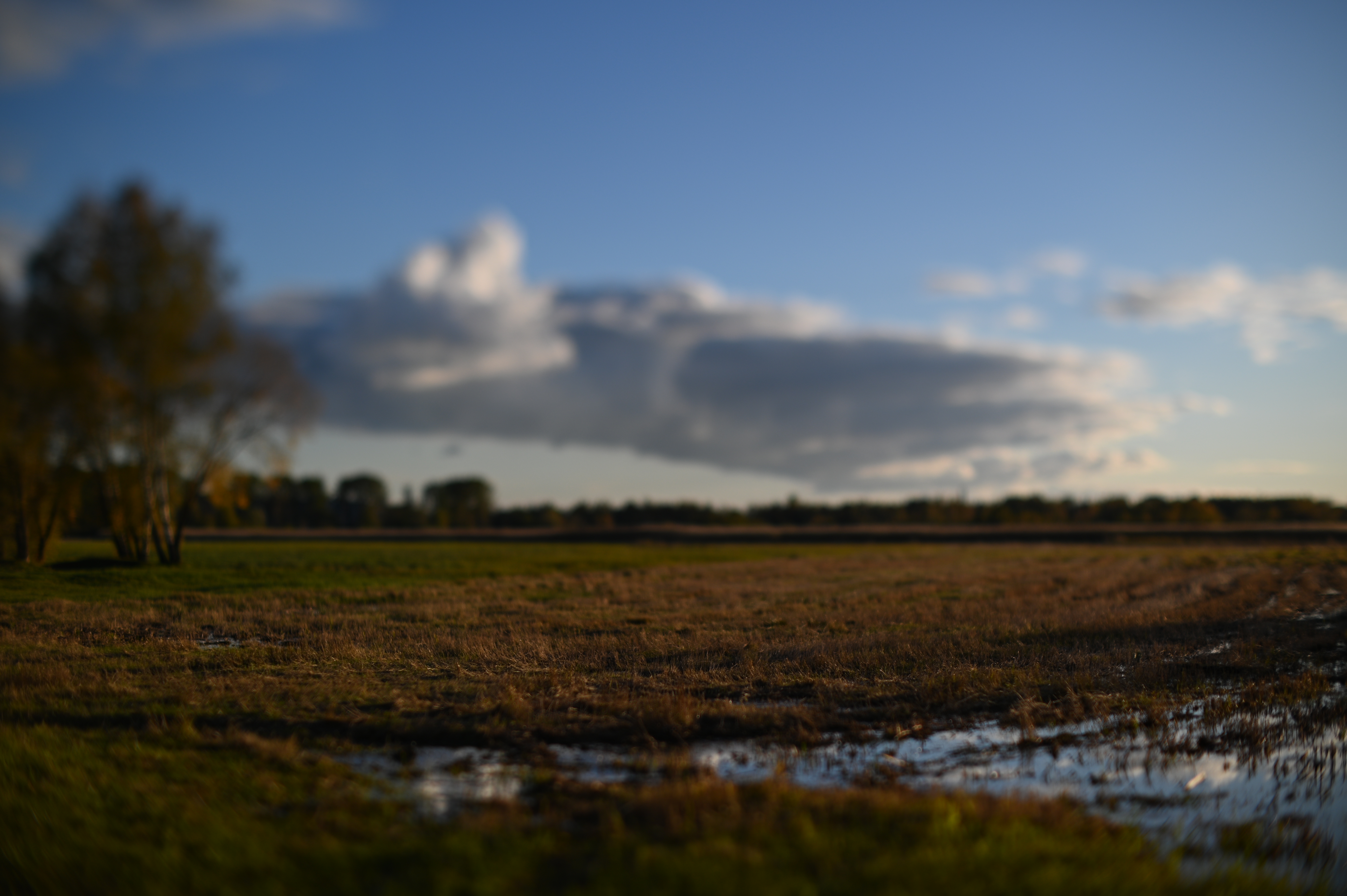 2025/10/18 - walk/DSC_0186.JPG